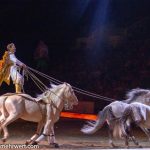 CAVALLUNA − Passion of horses »Welt der Fantasie«