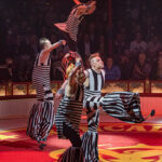 Circus-Theater Roncalli »ALL FOR ART FOR ALL« Tournee 2022 (Jump’n’Roll)
