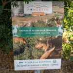 Ausflug »Davayé mit Besichtigung Ziegenfarm, Verkostung Wein & Ziegenkäse«_nicko cruises − 8 Tage »Malerisches Südfrankreich« mit MS Bijou du Rhône