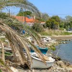 nicko cruises 11-Tage-Mittelmeerkreuzfahrt Athen bis Istanbul mit VASCO DA GAMA_Spaziergang entlang der Küstenstraße (Insel Skiathos)