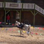 Elspe Festival: Unter Geiern (Karl-May-Festspiele 2023)_Reiter- und Greifvogelshow "Horses & Hawks"_Kunstreiten in der Rodeo-Arena