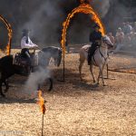 Elspe Festival: Unter Geiern (Karl-May-Festspiele 2023)_Reiter- und Greifvogelshow "Horses & Hawks"