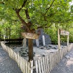 Elspe Festival: Unter Geiern (Karl-May-Festspiele 2023)_Der alte Friedhof "Boot Hill"