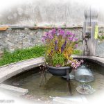 Mit Blumen geschmückter Dorfbrunnen in Guarda_Entdeckungstour durch das malerische Engadin