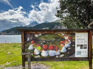 Fotowand mit Guckloch am St. Moritzer See (Meiereibucht)_Entdeckungstour durch das malerische Engadin