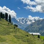 Sesselliftstrecke Pontresina zur Alp Languard mit Blick auf das Berninamassiv_Entdeckungstour durch das malerische Engadin