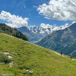 Wanderung durchs Pontresiner Steinbockparadies Alp Languard_Entdeckungstour durch das malerische Engadin