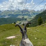 Mit dem Sessellift von Pontresina zur Alp Languard _Entdeckungstour durch das malerische Engadin