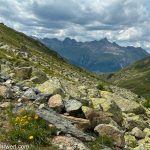 Wanderung durch das Pontresiner Steinbockparadies Alp Languard_Entdeckungstour durch das malerische Engadin