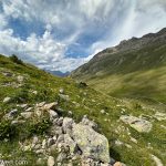 Wanderung durch das Pontresiner Steinbockparadies Alp Languard_Entdeckungstour durch das malerische Engadin
