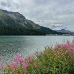 Blick vom Rundweg um den See auf St. Moritz Bad_Entdeckungstour durch das malerische Engadin