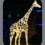 LUMAGICA − Magischer Lichterpark Hattingen 2023/24_Giraffe