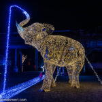 LUMAGICA − Magischer Lichterpark Hattingen 2023/24_Goldener Elefant