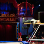 Circus-Theater Roncalli "ARTistART" Tournee 2024_Recklinghausen_Professor Wacko (Slapstick-Akrobatik)